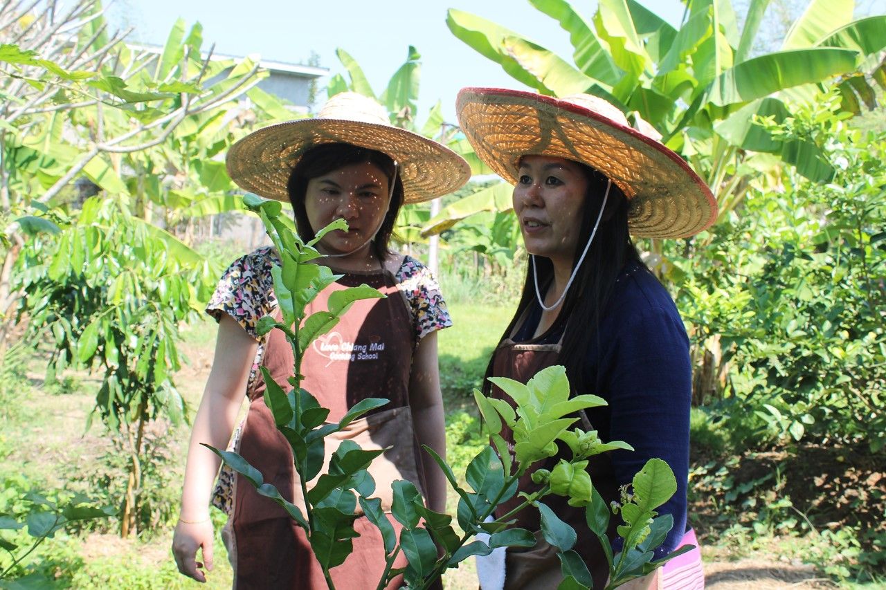 Traditional Lanna Countryside Cooking Experience